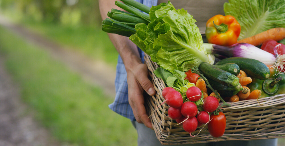 Agricultura ecológica