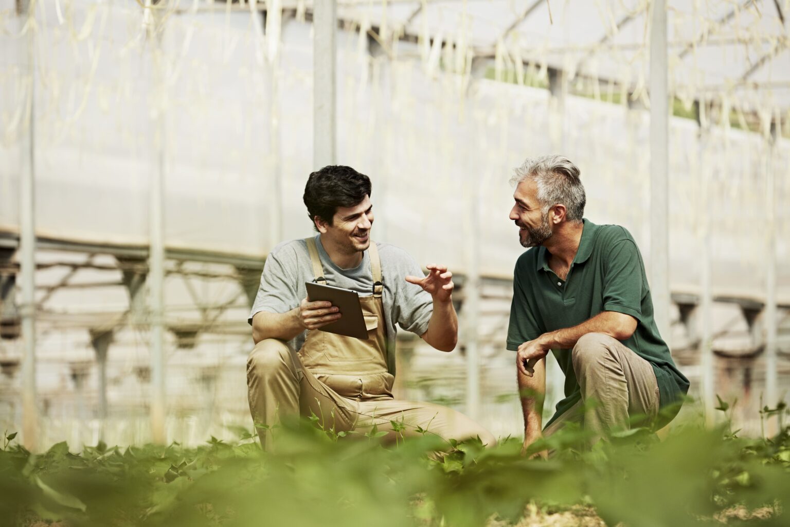 Guía PAC 2025 todo sobre la Política Agraria Común